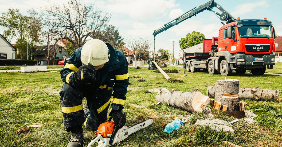 Stump removal and stump grinding services in Union County, NJ