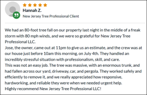 Customer testimonial for emergency tree removal in New Jersey